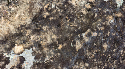 Stone mold texture backdrop photo.