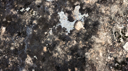 Stone mold texture backdrop photo.