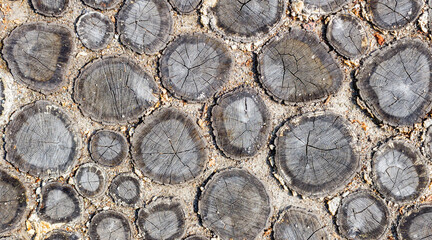 Wood log tiled ground texture.