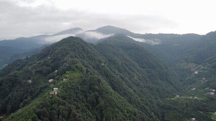 Naklejka premium landscape with clouds