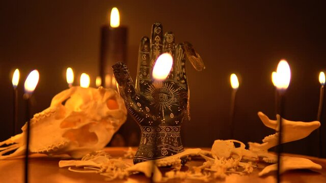 Black fortune teller hand with constellations on the reader table with magic animal bones, goat skull and cicada insects. Alchemy spirituality symbolic background with candle smoke and fog.