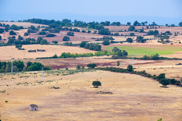 Fototapeta premium Mogadouro