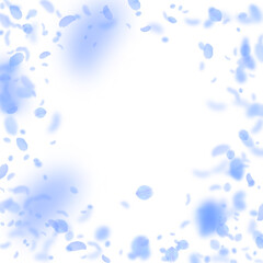 Dark blue flower petals falling down. Posh romanti