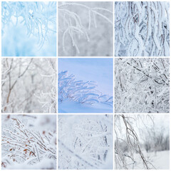 Winter backgrounds collection with trees and bushes covered with hoarfrost. Snow and rime ice on the branches. Plants covered with hoar frost. Cold snowy weather. Set of cool frosting textures.