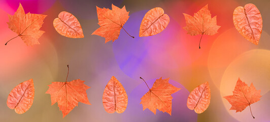 Colorful abstract background for the autumn season.