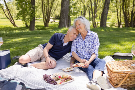 Cheerful senior couple enjoying picnic in park