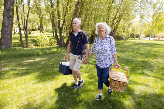 Cheerful senior couple holding hands, walking with picnic basket