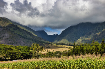 Fertile valley and mountains and fields of hawaii.