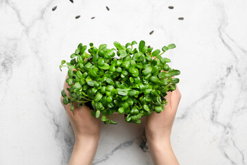 Female hands with fresh micro green on light background, closeup