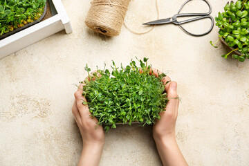Woman with fresh micro green, scissors and rope on light background