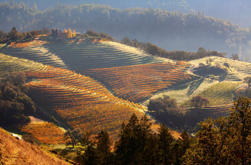 Fototapeta premium Fall Color in Napa Valley, California