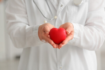 Female cardiologist holding red heart on light background, closeup
