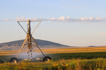 irrigation system at sunset