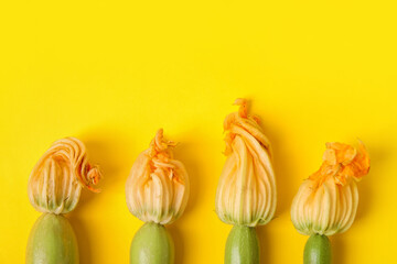 Fresh zucchini with flowers on color background, closeup