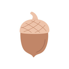 Cute acorn isolated on a white background. Hand-drawn vector illustration.