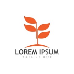 Agriculture wheat vector