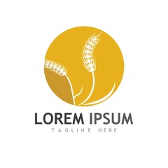 Agriculture wheat vector