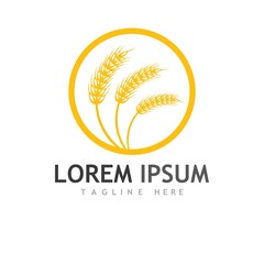 Agriculture wheat vector