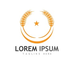 Agriculture wheat vector