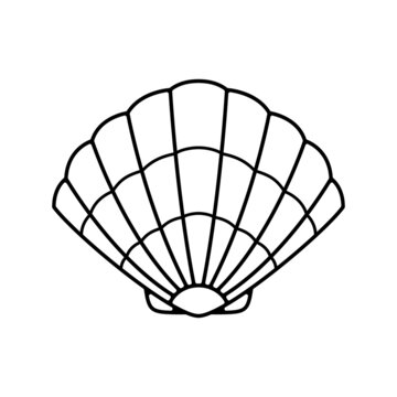 Vector Clam Shell On White Background