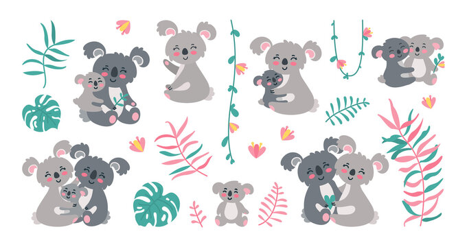 Koala family in jungles. Koala parents with babies in leaves, lianas and flowers. Vector illustration isolated in white background