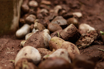 Rocks