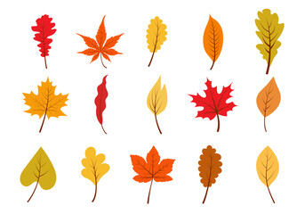 Autumn colorful leaves set.  Yellow, orange, red foliage collection. Vector illustration.