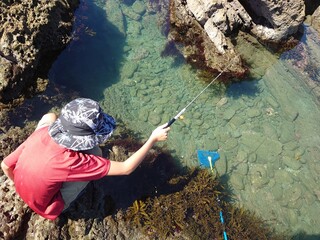 岩, クライミング, 山, 水, クライマー, スポーツ, 登ること, 海, 自然, 極度, 女性, 冒険, サマータイム, 崖, 旅行, 海, 活動的な, 人々, とびこみ, 風景, アウトドア, あばたのある, 川, ロープ, 浜