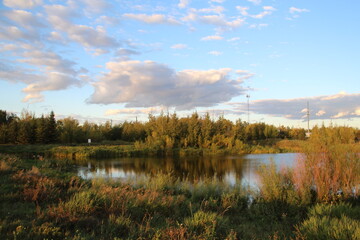 Evening On The Wetlands, Pylypow Wetlands, Edmonton, Alberta