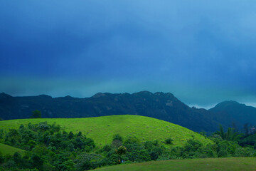 Grass filed and mountains 