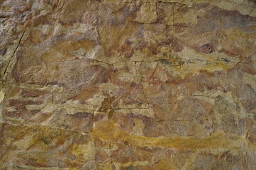 Close-up pattern of natural stone with ancient fossils
