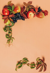 Autumn seasonal fruits apples pears grapes leaves pastel brown background. Thanksgiving harvest concept. Autumn vintage