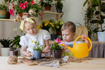 a boy and a blonde girl brother and sister of European appearance plant and transplant and water indoor flowers from a yellow watering can. Little helper by chores. Lifestyle. High quality photo