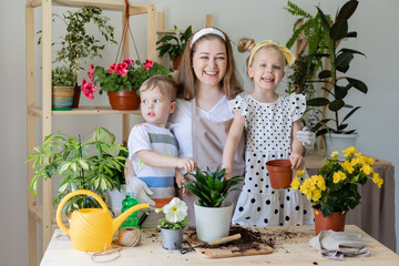 mother with her son and daughter in fasting plant or transplant indoor flowers. Little helper by chores. Concept of spring time, home gardening, child house-help, caring houseplants, lifestyle.