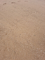The wet sand of the beach