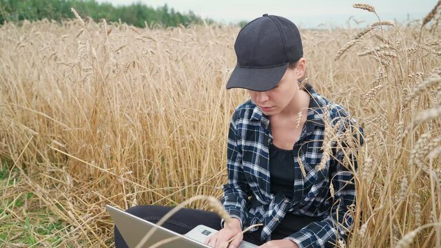 Woman ecologist sits in a field and works at a laptop, remote work and self-isolation in nature, texting text and surf the internet while sitting in the field of rye.