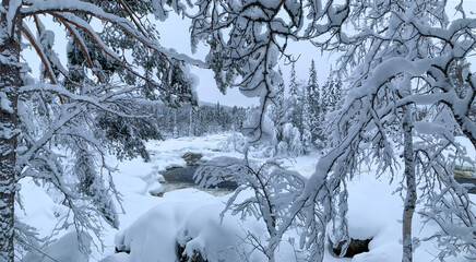 Snow-covered branches of frosty forest opens wide view to ice-covered river