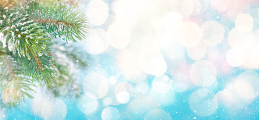 Fototapeta na wymiar Christmas greeting card with fir tree branch in snow, bright bokeh