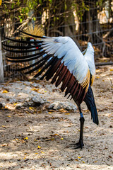 crane on the park © AlexTow