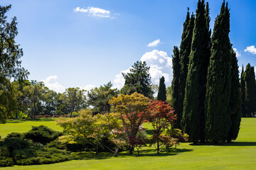 Large lawn, summer green landscape with cypress trees and maples at Sigurtà Garden Park, Valeggio sul Mincio, Veneto, Italy.