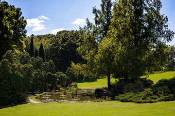 Naklejka premium Small pond with shady trees at Sigurtà Garden Park, Valeggio sul Mincio, Veneto, Italy.