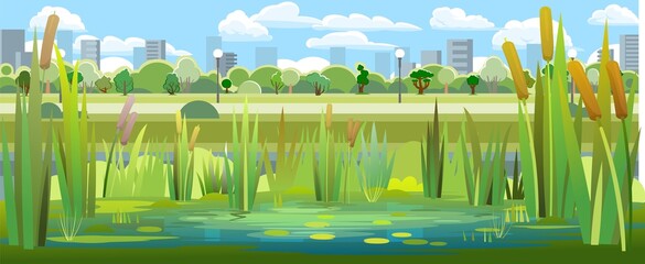Landscape with a swampy shore of a lake or river. Coast is overgrown with grass, reeds and cattails. View of the city park. Water with water lily leaves. Wild pond. Vector