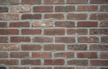 Section of a brick wall in color