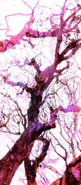 Tree Branches, Contemporary Style, Digital Illustration, Pink Colour Scheme.