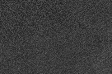 Empty black texture background with patterns. wall blank for the designer. Dark leather