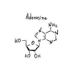 Adenosin Molecule Formula Hand Drawn Imitation