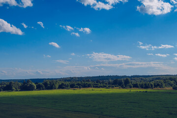 Picturesque summer landscape with white fluffy summer clouds on blue marvelous sky view background. Green meadow stock photo.