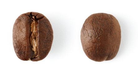 Roasted coffee beans