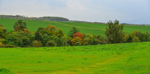 Rural scenery of Furano, Japan