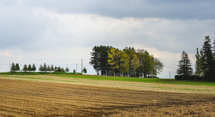 Rural scenery of Furano, Japan
